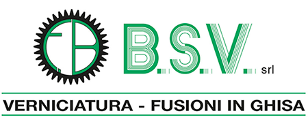 B.S.V. SRL